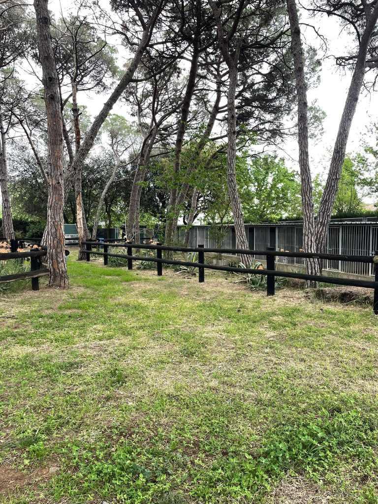 daycan residencia canina barcelona