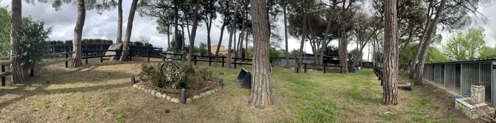 daycan residencia canina barcelona